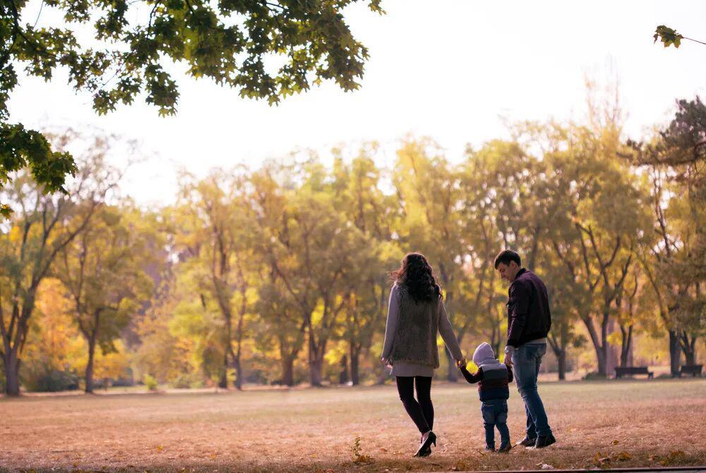 开云体育入口-一个家庭要向上走，一定要避谶，避旧，避人