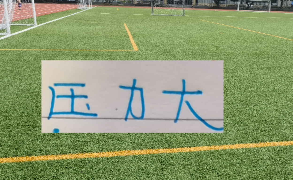 开云-冰火两重天！四大澳洲教头 浙江跟北京国安主帅不好过 谁会先下课